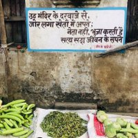 मचान (@machan500) 's Twitter Profile