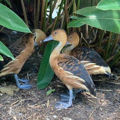 es_is_me's profile picture. “Honey, life is just a classroom” - t swift  mostly a dunkin fan account she/they