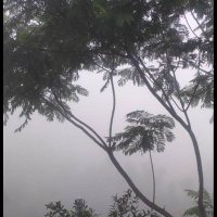 محمد اليمني ينبع (@8formj6dg0bakfb) 's Twitter Profile