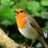 RJW_LPS's profile image