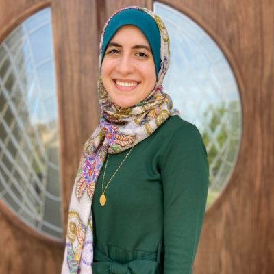 Alaa Abdeldaiem Profile