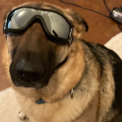 davalangator's profile picture. Cringe resistance lib