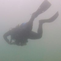 Danny Hinkle - @Defcondiver Twitter Profile Photo