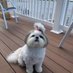 STELLA❤️🌟Angel Lola🌟 (@ctinebean) Twitter profile photo STELLA❤️🌟Angel Lola🌟 (@ctinebean) Twitter profile photo