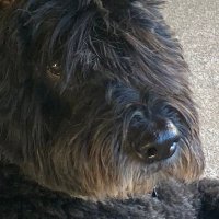 skeptical one (@bsnirdley) 's Twitter Profile