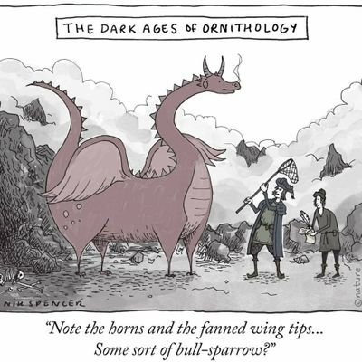 Nature lover, dragon enthusiast, lover of classical music.