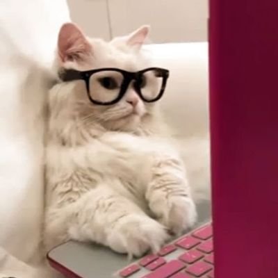 Forex/CryptoTrader& Fundamentalist📈DataAnalyst|DigitalMarketer💻| Web Developer| Writer
Enterpreneur;@chiomarionskin & @adammaatelier on IG. Believer @smcdao