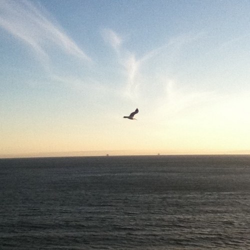 Jail4Adultery's profile picture. Adultery causes deep damage to unsuspecting spouses and children. I have made a huge emotional recovery and I am available to help other people.