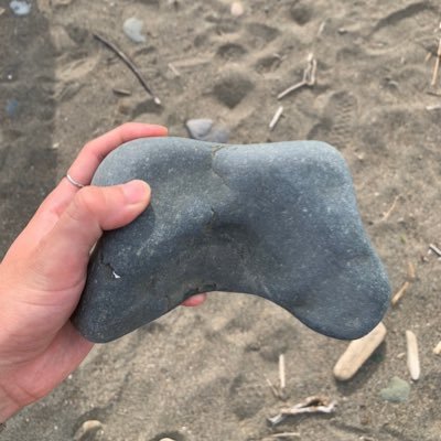 viggc's profile picture. 麦子熟了一万次，人民万岁第一次。