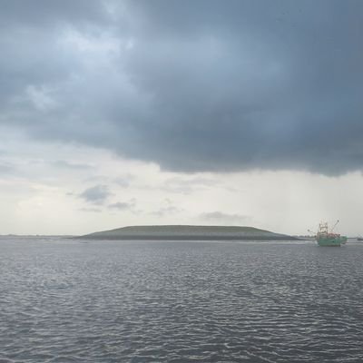 Johnnysleepdep1's profile picture. Involved