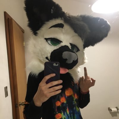 Negu_the_fennec's profile picture. Single random fox guy/ 27 years old boi (May 29th)♊️/ 🇲🇽Mexico is where I live🇲🇽