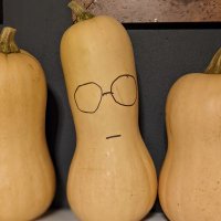 A Gourd for All Seasons is Gone for Lent(@Unlearned_Hand) 's Twitter Profile Photo