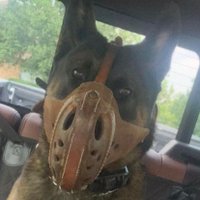 DTRT (@dennisr64880280) 's Twitter Profile