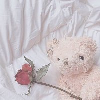 Ka🍓.｡ (@dp515_hp) 's Twitter Profile
