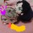 aoka_lightlover