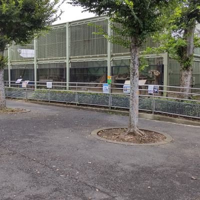 東武動物公園に毎日のように通ってリンド君と、チーターのコリナちゃんと、アムールヒヨウのアブス君ルナちゃん達に会えに行ってます、檻展示大好きです、モード展示も白写りや、写り込みがなくてお話ししたり、お互いに通じ会えるから、いいですよ