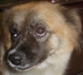 greenweekend's profile picture. trying to stand up with my own feet and enjoy what the universe is giving to me