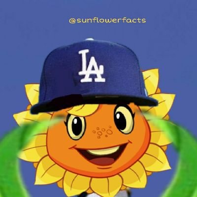 sunflower facts