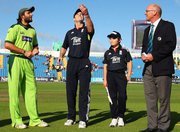 ediiwatt's profile picture. Artist.