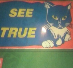 chattetricolore's profile picture. 