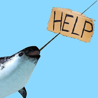 Narwhal Profile