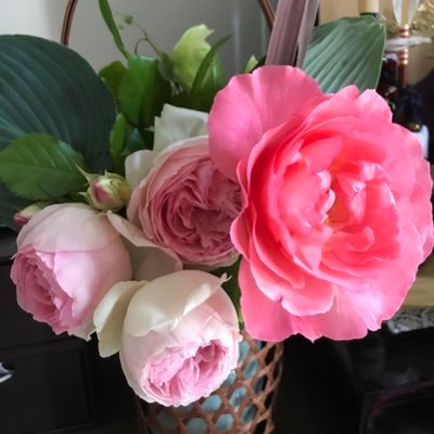 Tq8h1nLCBi9uatB's profile picture. 関西万博通期パス/のんびり回ってます/