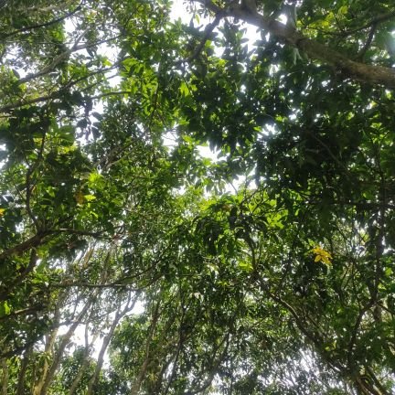 Mizan_35's profile picture. 