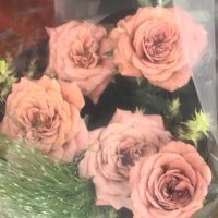 taiさん (@vzsqfllypswm9ka) Twitter profile photo