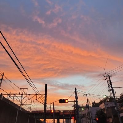 genkiway's profile picture. 痛い臭い汚い以外は何でもオッケーな40代ぽっちゃりです。女性も女装さんFTMさんゲイさんも大好き。タチの方は特に歓迎(笑)
DMいつでもください。まずは飲みたいね☺️
基本的には社会性ある社会人です(笑)
お酒。420好き。シングルぱぱ。仕事柄写真などは仲良くなってからでお願いいたします。