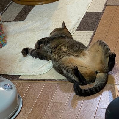 OrrinVivid's profile picture. ロマサガRSとメガニケを楽しんでいます。2023年8月からクレーンゲームにどハマり、重度のゴトン病