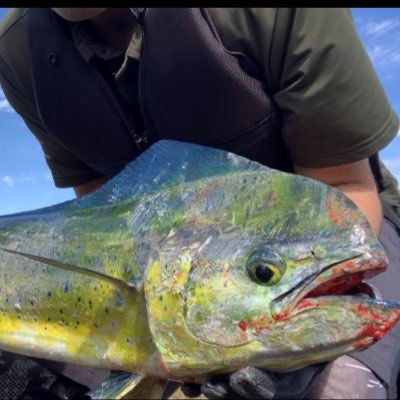 To34500821To's profile picture. 宮城の釣り人 ホーミーズ運営です🐟         https://t.co/UE2t6Ucqvm