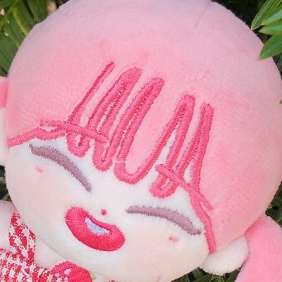 미니쮸 말티쮸さんのプロフィール画像