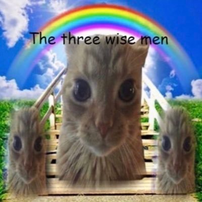 dibbydots's profile picture. 20 | i’m silly