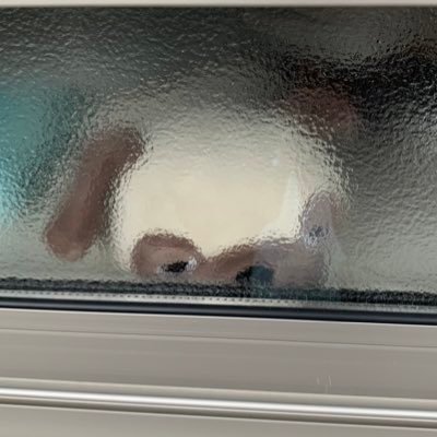 MqByRMKxiiJCovz's profile picture. データサイエンティスト見習い