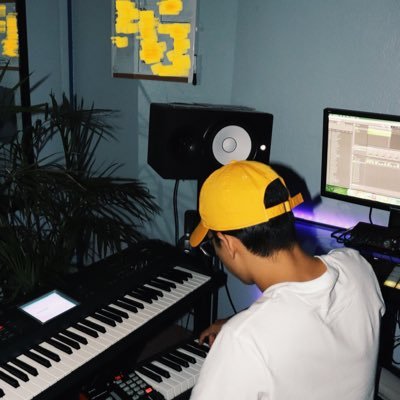 i make music and eat pineapples