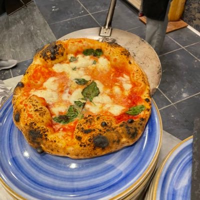 CoachJoeyZ's profile picture. It’s nice to be important, but it’s more important to be nice.