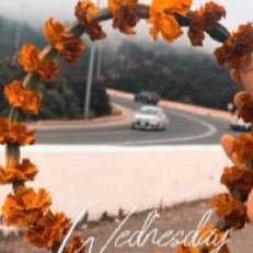 NjoodAlmtrfy's profile picture. 