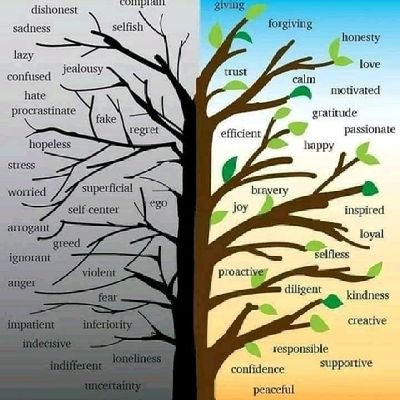 987lokesh's profile picture. Entrepreneur