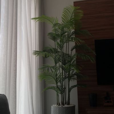 abdullahalshyea's profile picture. 