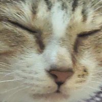Q5Ca (@_q5ca) 's Twitter Profile