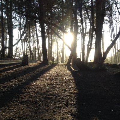 mrTREEMEISTER's profile picture. Bastarded. Make like a leaf and Tree. Ozzy-ite. Huzzah to the seeking heathen. For “Frodo” 🗡️ Dollar for your time ✌️