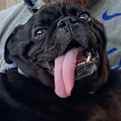 McOnions's profile picture. Photos are images. Bacon is good. Winter is cold Happiness starts with ha.