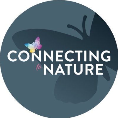 Products to support biodiversity & help our community connect with nature for their well being.
🌸Producers of Irish Native Wildflower Seed
🐦Wild Bird Seed