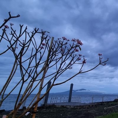 BrianJSumual's profile picture. 🙏😇