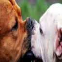 lee phoenix - @leephoenix1 - Twitter