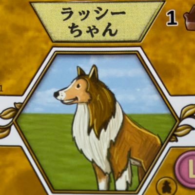 ツカのボドゲ垢さんのプロフィール画像