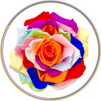 ぺろすけ (@prsk57599) Twitter profile photo