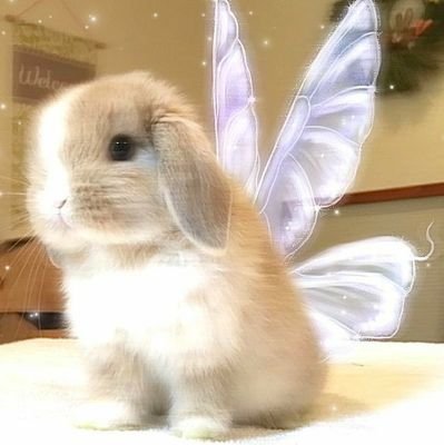 Charli fan
damelio show!! ::š½šŗšš
#charli šæš¾š¾š½
āį° Anna hereš-not interested :)
ā :: .charli? -i love her!!
š¾ š
šā“šš¾šāÆ š»ā“šāÆšāÆš!!dixie lyy