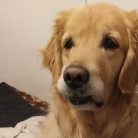 Lucía (@luciigonzalo) 's Twitter Profile