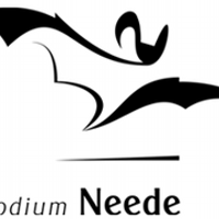 Podium Neede (@podiumneede1) 's Twitter Profile